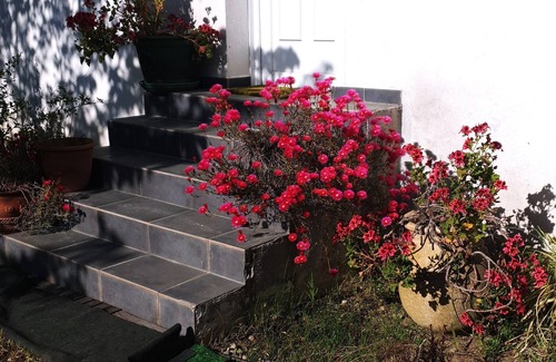 Pineto House | Villa Proche de la Plage