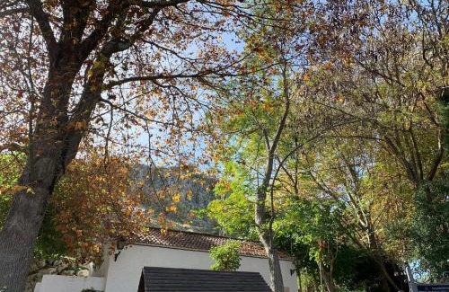 Cuevas del Becerro House | Villa Remedios