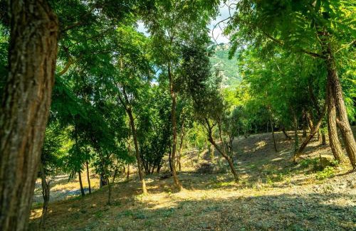 Chiusano di San Domenico Villa | Villa Romantica con Bosco sulla Strada dei Vini