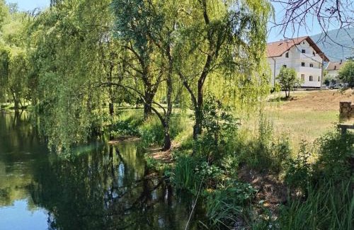 Licko Lesce House | Villa Roko