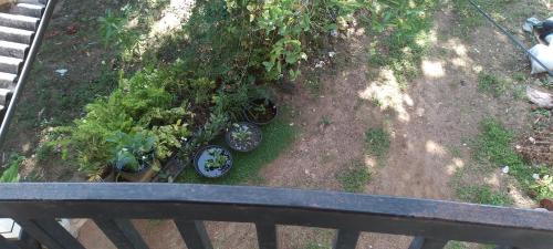 Gintota Apartment | Villa TROPICAL GARDEN