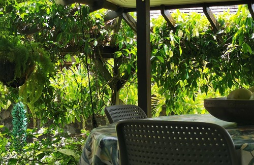 Afaahiti House | Villa VAI, ideal for those wishing to visit "Tahiti iti" and the surrounding area.