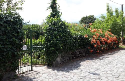 Rovittello House | Villa Vecchio