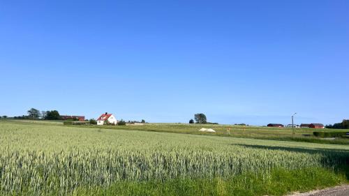 Ystad House | Villa Vinja