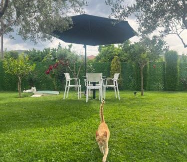 Otllak Bed & Breakfast | Villa Visi
