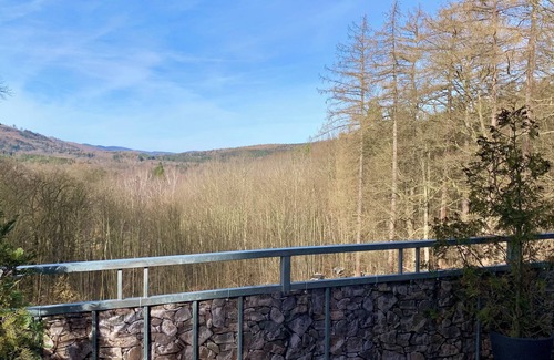 Friedrichroda Condo | Villa Warzenburg, apartment 2 with panoramic view, balcony and fireplace. Vacation with a dog.