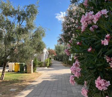 Montincello Resort | Villaggio Almar