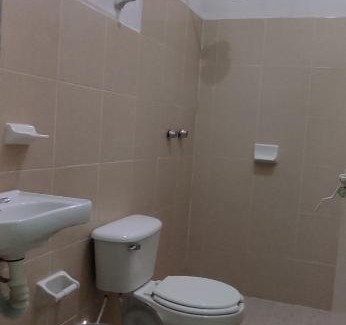 Palenque Other | Villas del Carmen Hostal