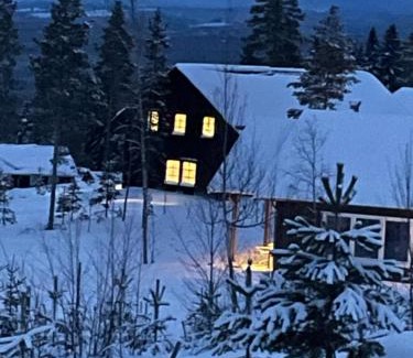 Vemdalen House | Villavemdalen