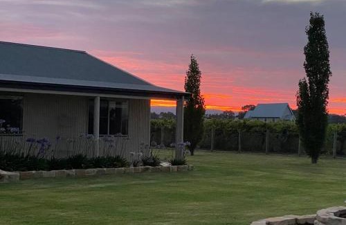 Eurunderee House | 'Vineyard Cottage' A Golden Escape among the Vines