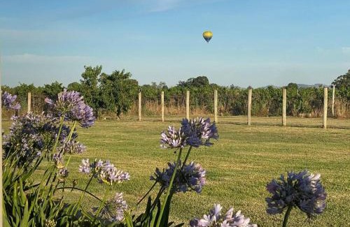 Eurunderee House | 'Vineyard Cottage' A Golden Escape among the Vines