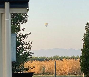 Eurunderee House | 'Vineyard Cottage' A Golden Escape among the Vines