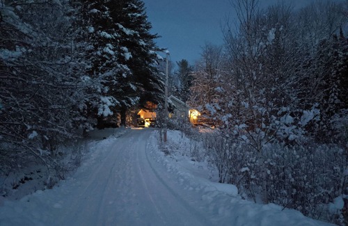Potton Cabin | Vintage chalet in the heart of the forest