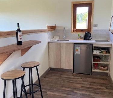Llanquihue Apartment | Vista de Volcanes, Lago y Valle