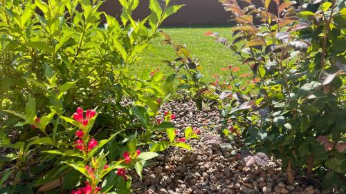 Castelfranco Veneto Apartment | ViVE Apartments Visit Veneto Express