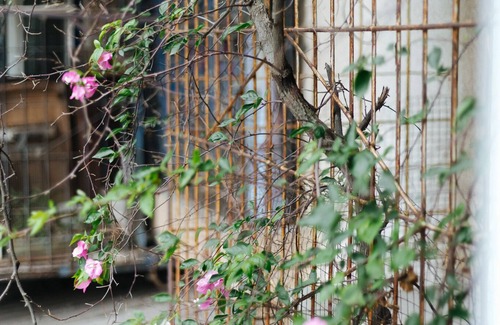 Hoan Kiem Bed & Breakfast | Vrbo property