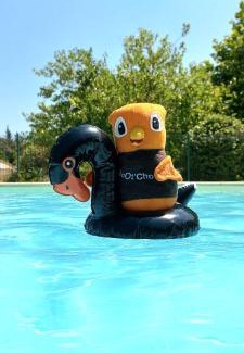 Mejannes-le-Clap Resort | VVF Méjannes Gard