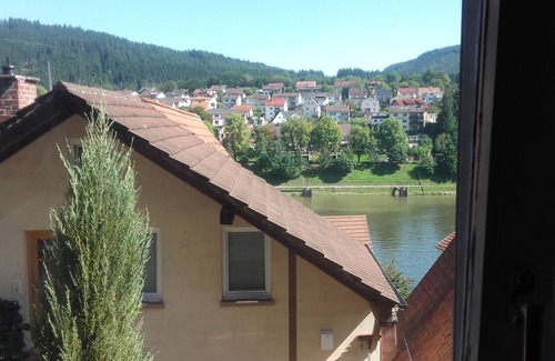 Hirschhorn Apartment | W2.Natur. It is the former supply house of Hirschhorn Castle.