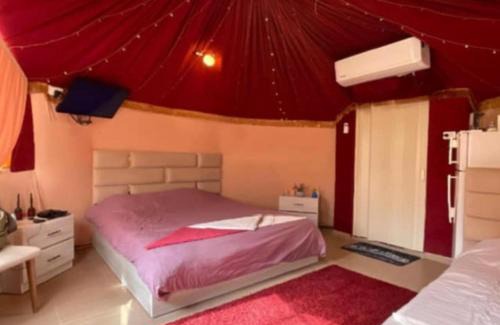 Ma'an Governorate Other | Wadi Bin Hammad Five Stars
