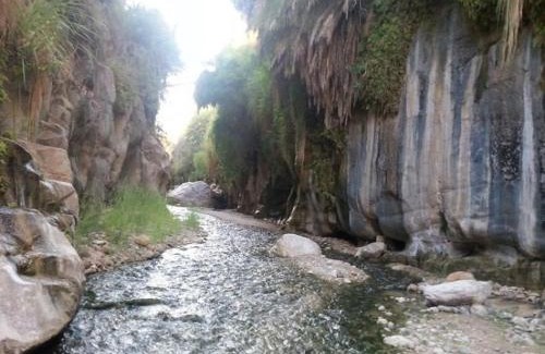 Ma'an Governorate Other | Wadi Bin Hammad Five Stars