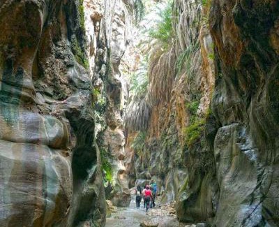 Ma'an Governorate Other | Wadi Bin Hammad Five Stars