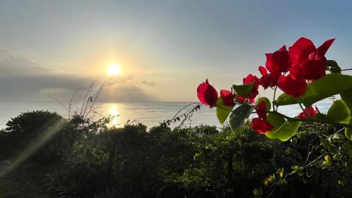 Shimoni Villa | Wagawimbi Villa 560 m2, Breathtaking View of the Indian Ocean, Kenya