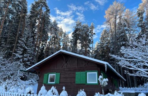 Natters Ski Chalet | Waldchalet am Eichhof