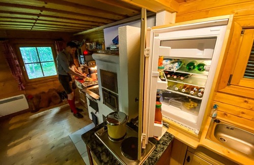 Zeutschach House | Waldhaus zu Graslupp - vacation home, bathroom, WC