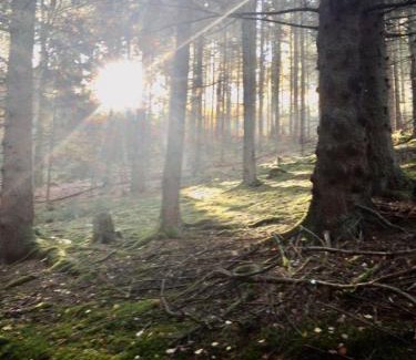Wald-Michelbach House | Waldnest Odenwald
