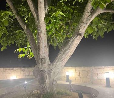 Goudi Villa | Walnut Cozy House