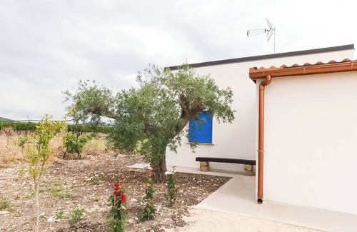 Ribera House | Waning Moon - Among the Citrus Trees in Ribera