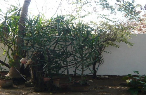 Emiliano Zapata Apartment | Warm waves, cool people, good service