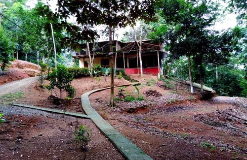 Platanillo House | Waterfalls House inside in the Rains Forest