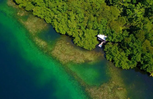 Isla Cristobal Cabin | Waterfront Mangrove Treehouse - sloths & coral