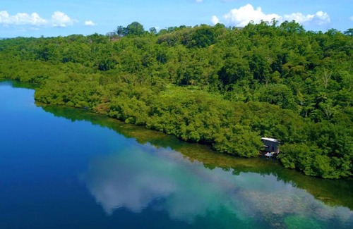 Isla Cristobal Cabin | Waterfront Mangrove Treehouse - sloths & coral