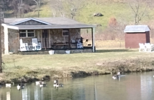 Barnardsville Cabin | Waterfront cabin with mountain views; 26 minutes to downtown Asheville.