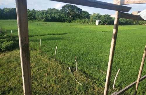 Calatagan Bed & Breakfast | we are not accepting booking