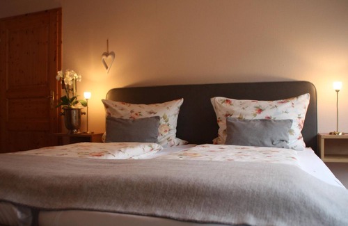 Reil Apartment | Weingut-brennerei-gästehaus Emil Dauns - Doppelzimmer Dusche/wc