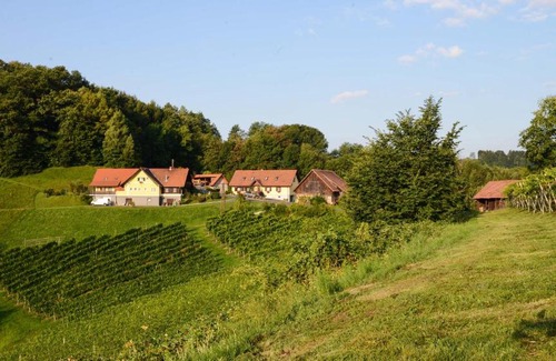 Oberfahrenbach House | Weingut & Buschenschank Pölzl