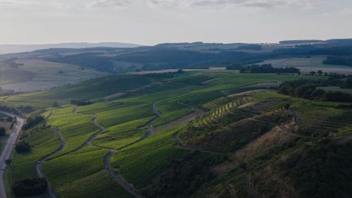 Monzingen Bed & Breakfast | Weingut und Gästehaus Holger Alt