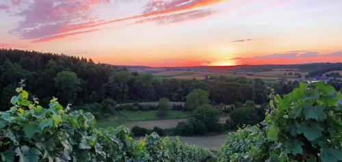 Schwaigern Apartment | Weingut Will und Würz Lemberger