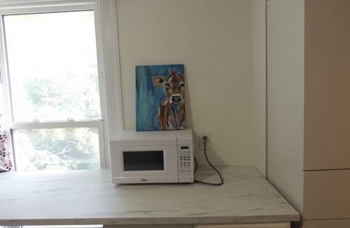 Woodstock Apartment | Welcome to Cowtown! Homey open concept 2 bedroom apartment.