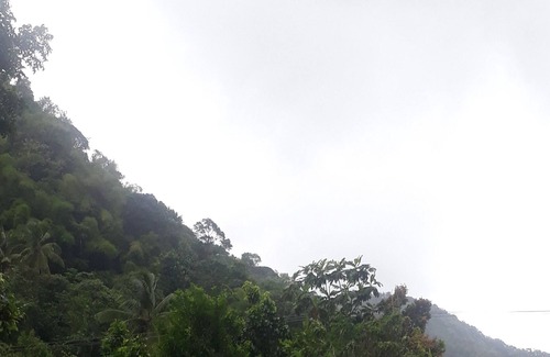 Soufriere Quarter Villa | Welcome to the Amazon Villas. We pride ourselves on our guest comfort,
