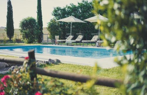 Gallina House | Well-equipped Holiday Home in SPEDALETTO Italy with Private Pool