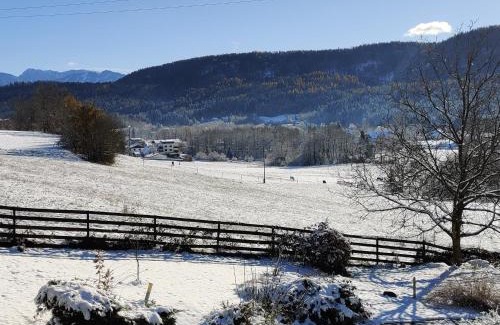 Keutschach am See Apartment | Wellness- HotTub & Sauna- Pet Friendly- Hiking