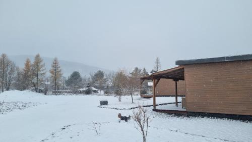 Miercurea-Ciuc Apartment | Wellness Resort Szécseny