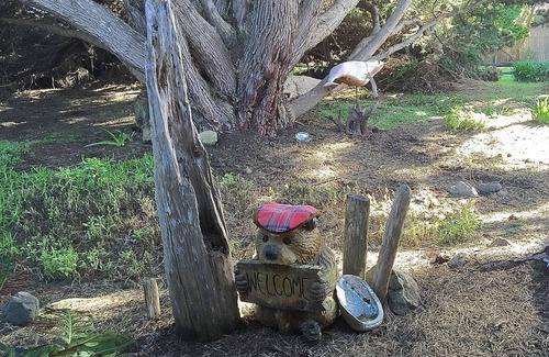 Mendocino House | Whale Watch House: Oceanfront/Near Mendo Village/a Private Retreat