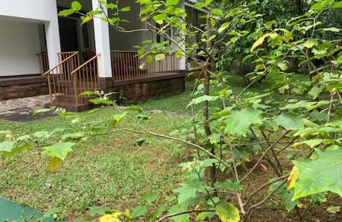 Narangodapaluwa House | White House - Orange Hill Avenue