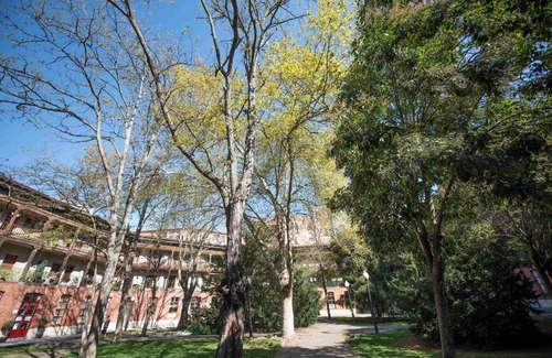 Valladolid City Centre Apartment | White spaces El viejo Coso: with parking!