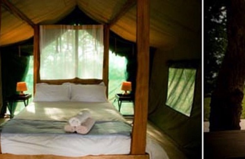 Malkerns Other | Wide Horizons Mountain Retreat - Weavers Nest Tented Camp